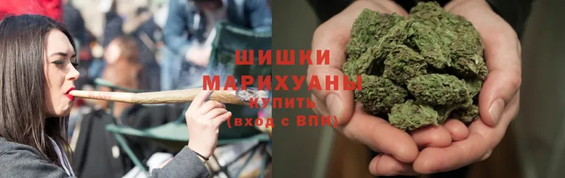 Канабис OG Kush  Лыткарино 